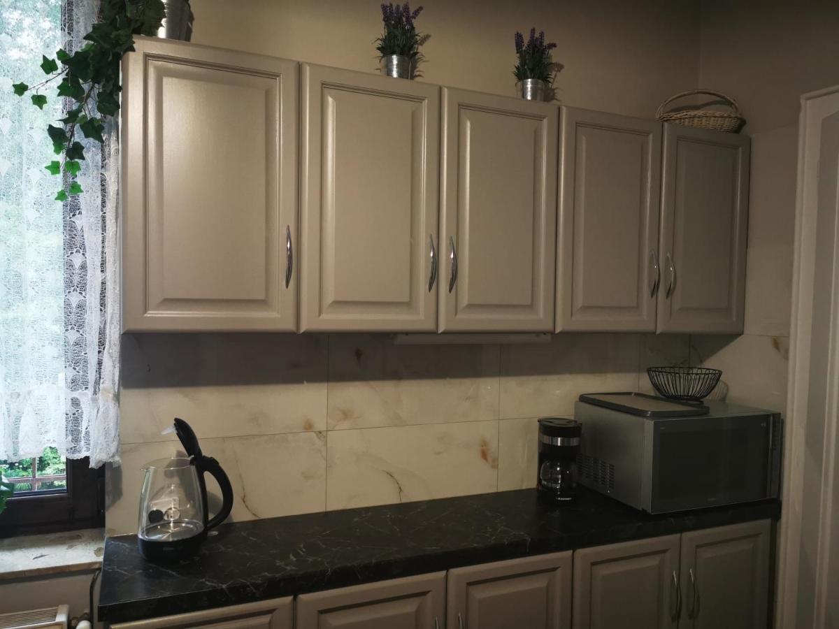 Apartament Mario Bezplatny Parking Bielsko-Biała Extérieur photo