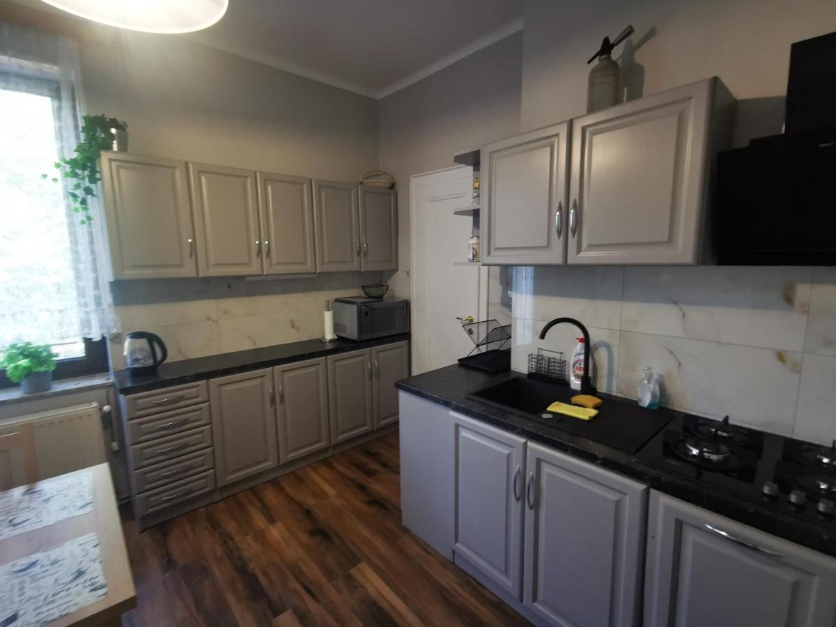 Apartament Mario Bezplatny Parking Bielsko-Biała Extérieur photo